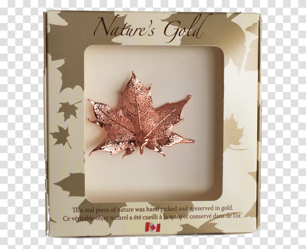 Copper Dipped Maple Leaf, Plant, Tree, Painting Transparent Png