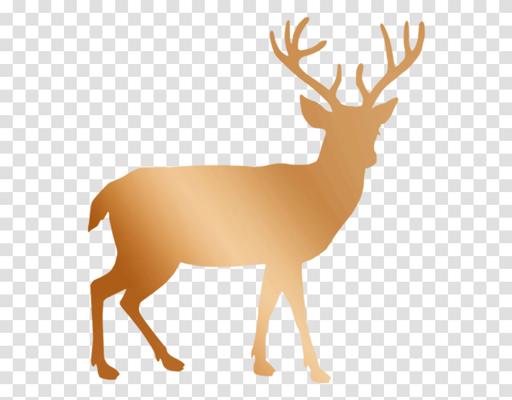 Copper Rose Gold Deer Deer Silhouette Background, Wildlife, Mammal, Animal, Elk Transparent Png