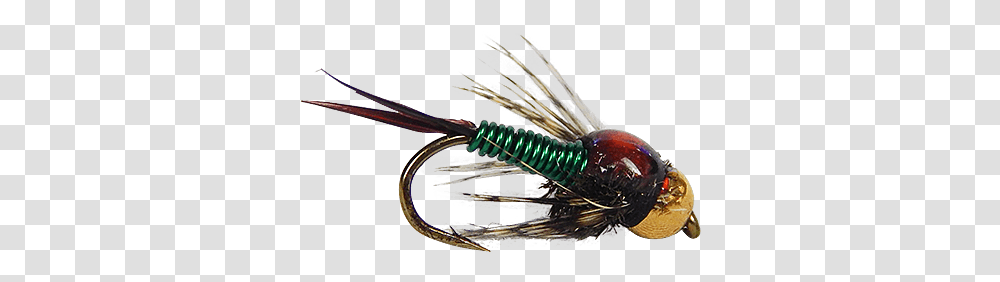 Copperloo Green House Fly, Fishing Lure, Bait Transparent Png