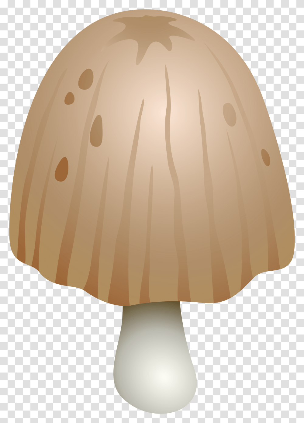 Coprinus Comatus Mushroom Clipart, Lamp, Lampshade, Plant, Fungus Transparent Png