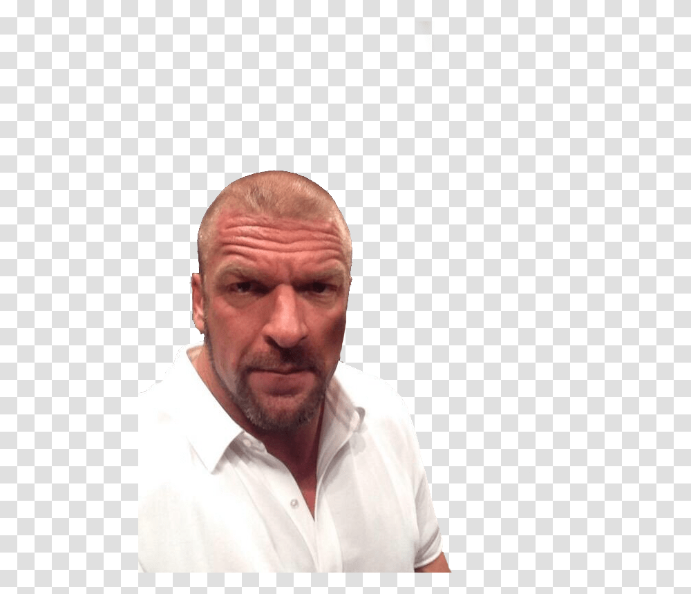 Copy Discord Cmd Wwe Triple H Selfie, Person, Human, Face, Head Transparent Png