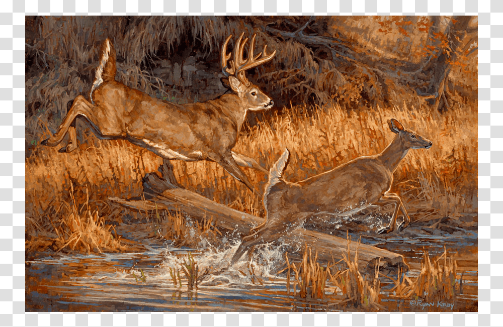 Copyright Ryan Kirby Whitetail Deer Oil Painting River White Tailed Deer Painting, Antelope, Wildlife, Mammal, Animal Transparent Png