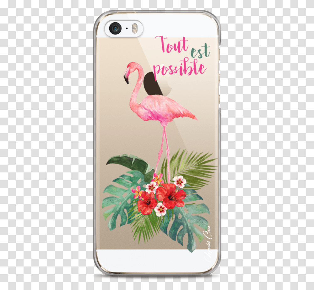 Coque Iphone 5c Tropical Watercolor Flamingo Coque Iphone Se Tropical, Bird, Animal, Plant, Flower Transparent Png