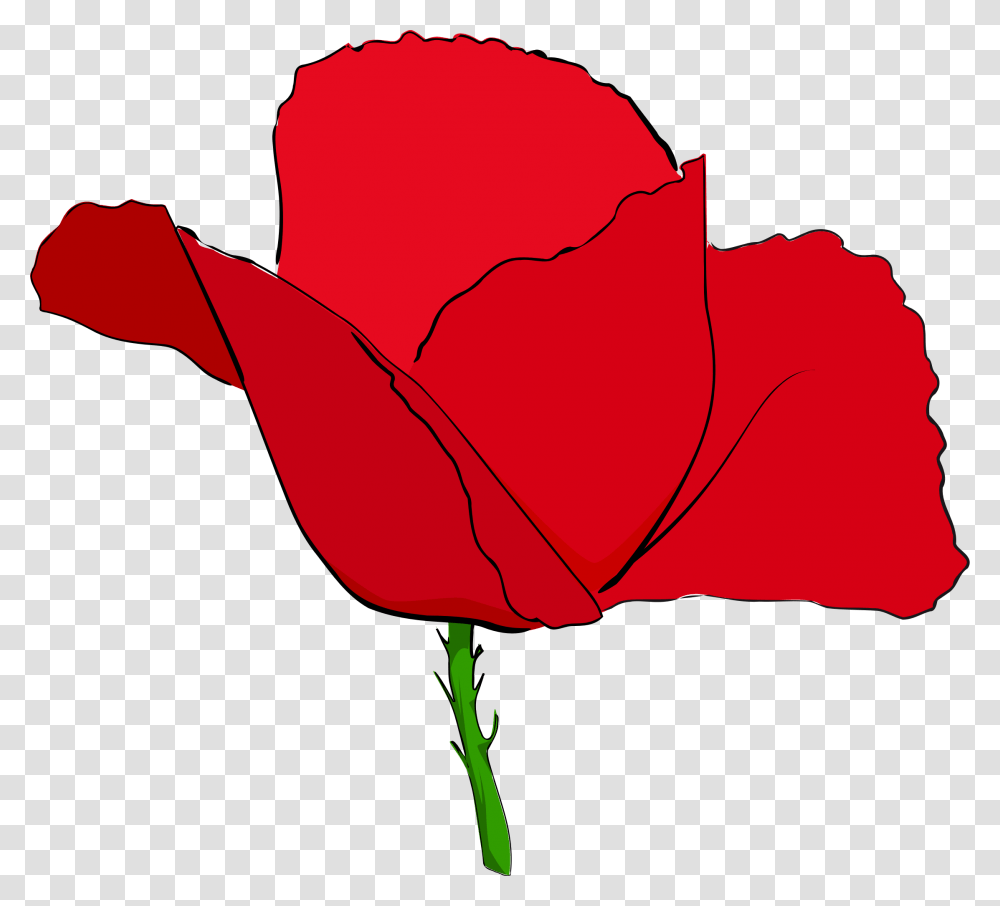 Coquelicot Rouge, Rose, Flower, Plant, Blossom Transparent Png