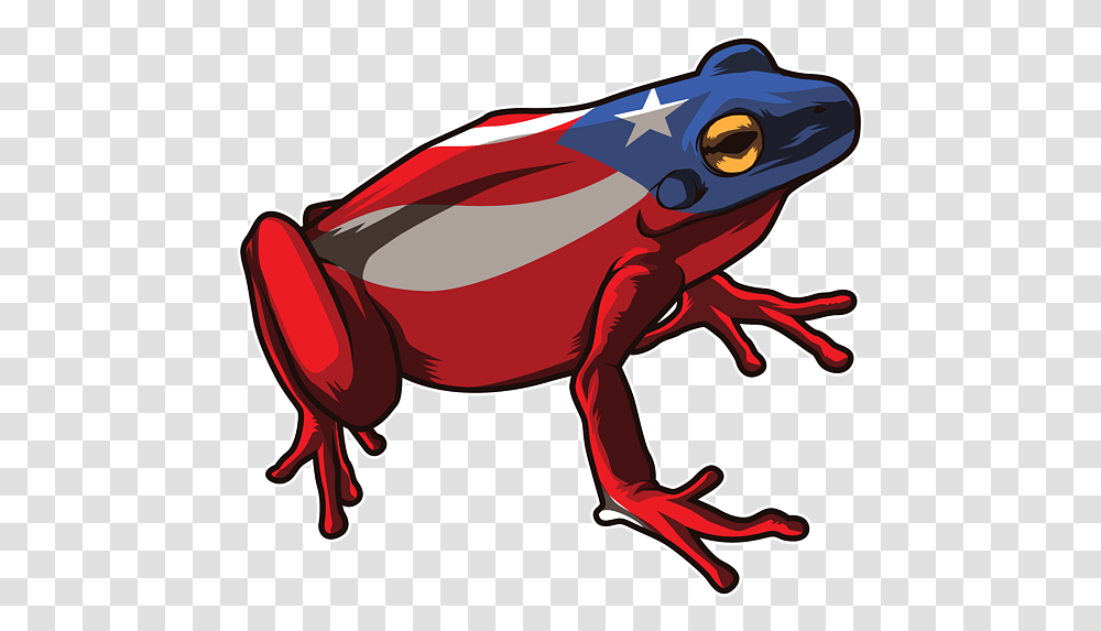 Coqui Puerto Rico Flag, Wildlife, Animal, Amphibian, Frog Transparent Png