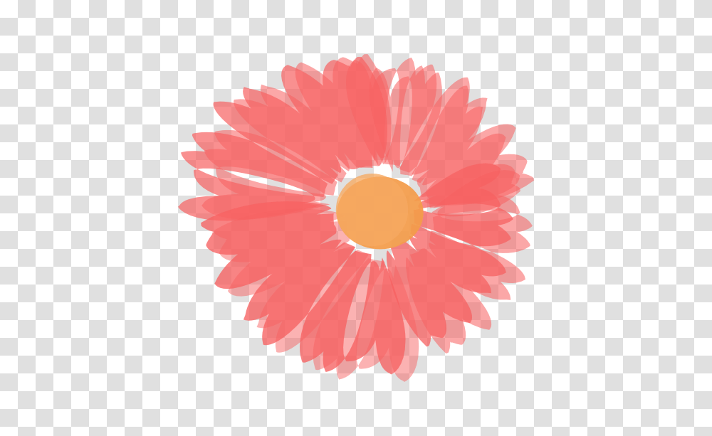 Coral And Orange Flower Clipart For Web, Plant, Blossom, Rose, Hibiscus Transparent Png
