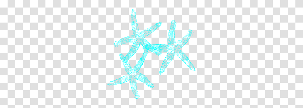 Coral And Turquoise Starfish Clip Art, Star Symbol, Knot Transparent Png