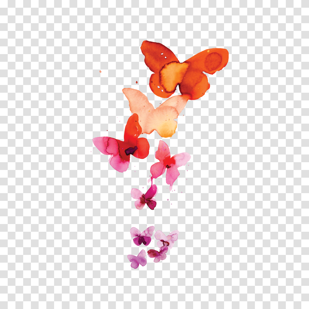 Coral Butterflies Small Watercolor Butterfly Tattoo, Petal, Flower, Plant, Blossom Transparent Png
