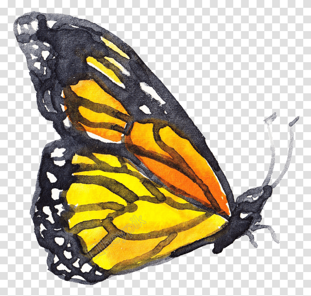 Coral Butterfly Watercolor Insects, Invertebrate, Animal, Monarch Transparent Png