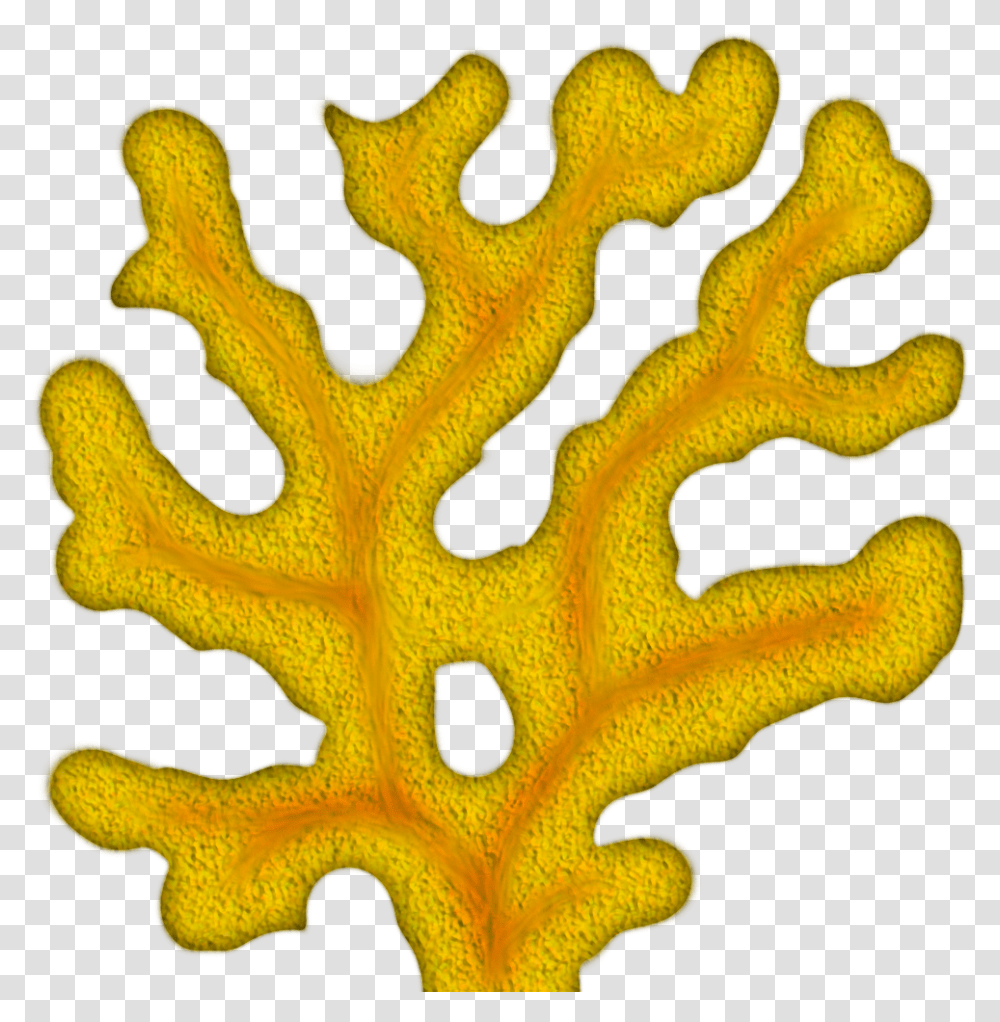 Coral Clipart Coral Clipart, Pattern, Ornament, Leaf, Plant Transparent Png