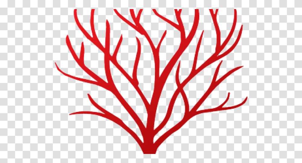 Coral Clipart Red Coral Transparent Png