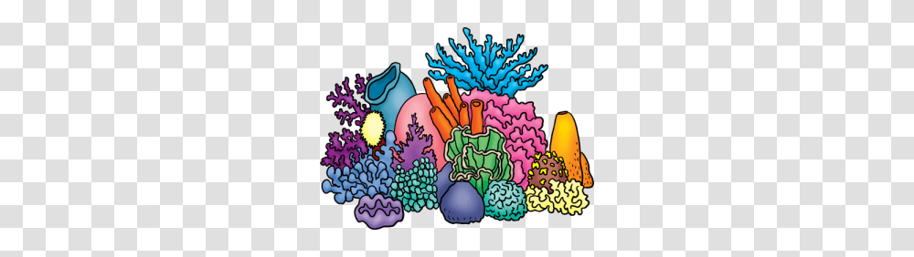 Coral Clipart, Reef, Sea Life, Animal, Outdoors Transparent Png