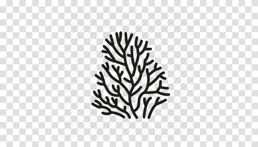 Coral Coral Reef Ocean Ocean Life Sea Underwater Icon, Plant, Rug, Tree Transparent Png
