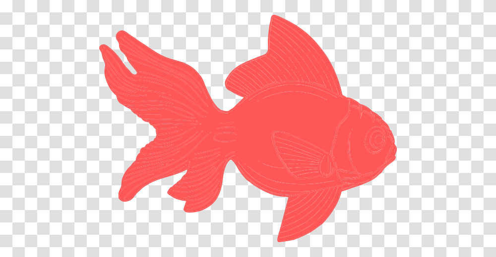 Coral Fish Clipart Clip Art, Goldfish, Animal, Leaf, Plant Transparent Png