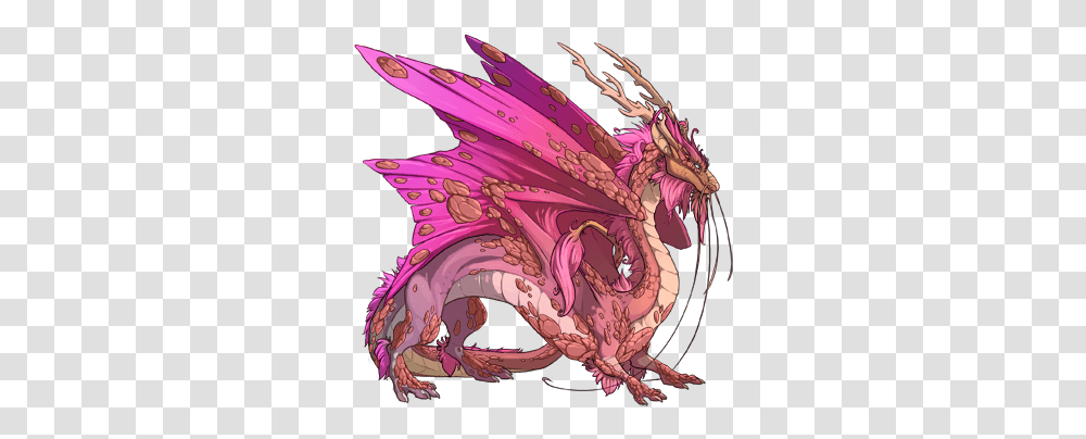 Coral Flavoured Success Dragon Share Flight Rising Feathered Dragons Transparent Png