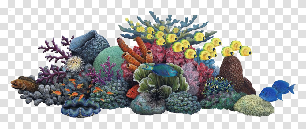 Coral Reef Clip Art Coral Reef Clipart, Sea, Outdoors, Water, Nature Transparent Png