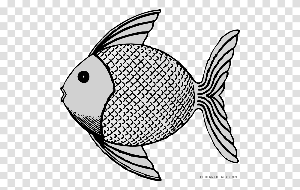 Coral Reef Clipart Black And White Fish Clip Art, Bird, Animal, Photography, Sea Life Transparent Png