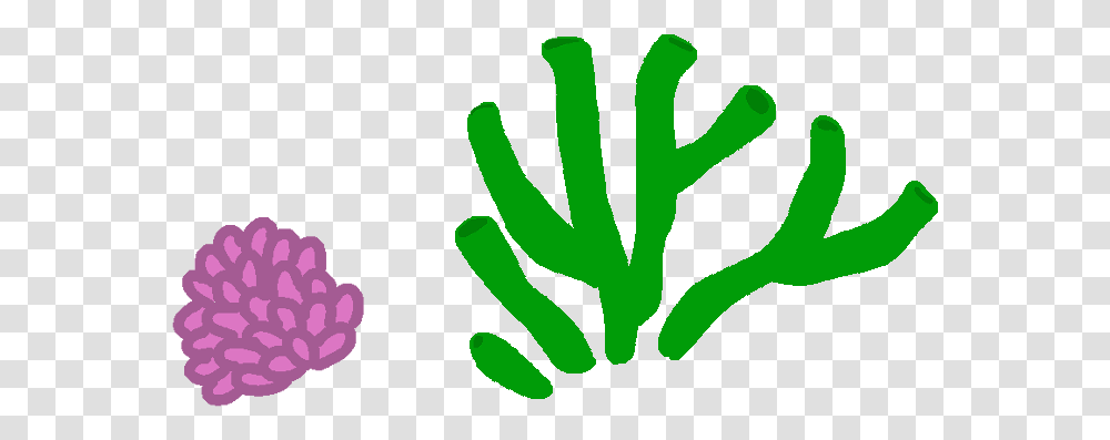 Coral Reef Clipart Hand, Plant, Produce, Food, Geranium Transparent Png