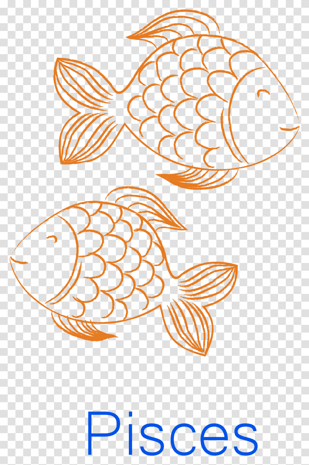 Coral Reef Fish, Animal, Goldfish Transparent Png