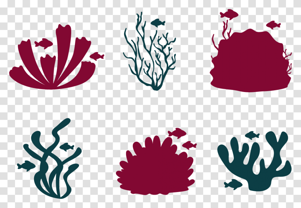 Coral Reef Fish Clipart Coral Reef Vector, Stencil, Floral Design, Pattern Transparent Png