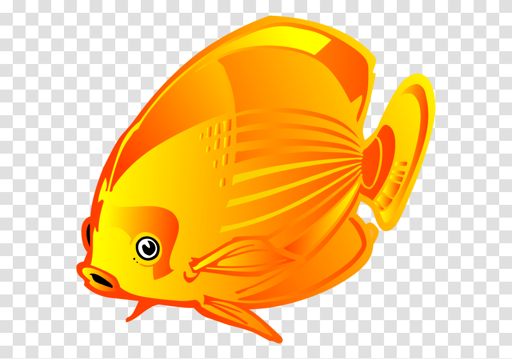 Coral Reef Fish, Goldfish, Animal, Helmet Transparent Png