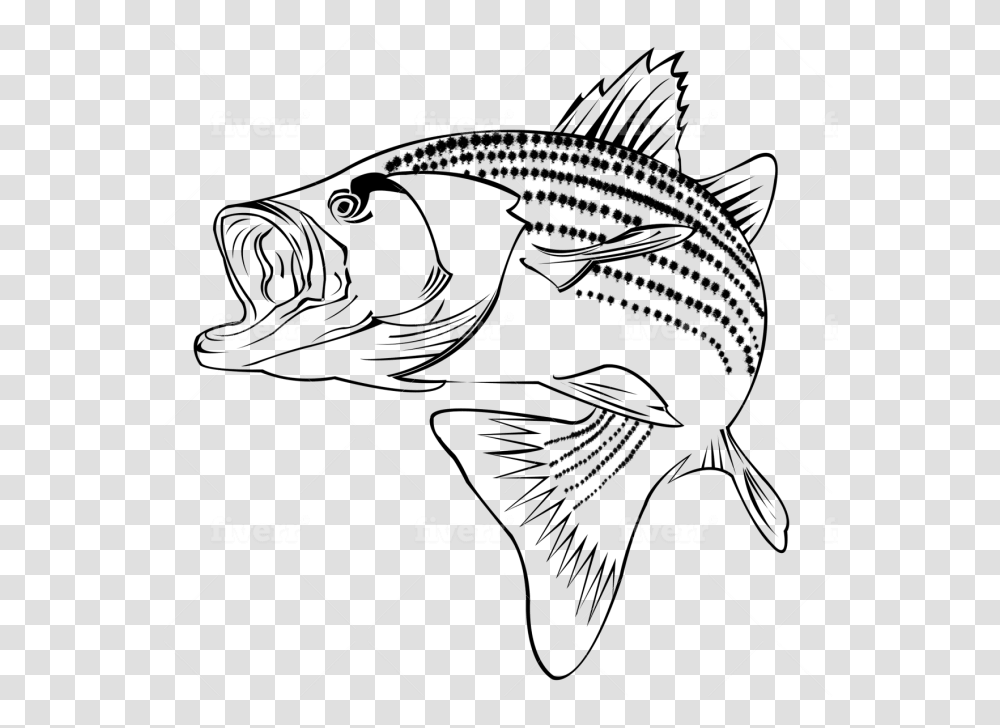 Coral Reef Fish, Pattern, Ornament Transparent Png