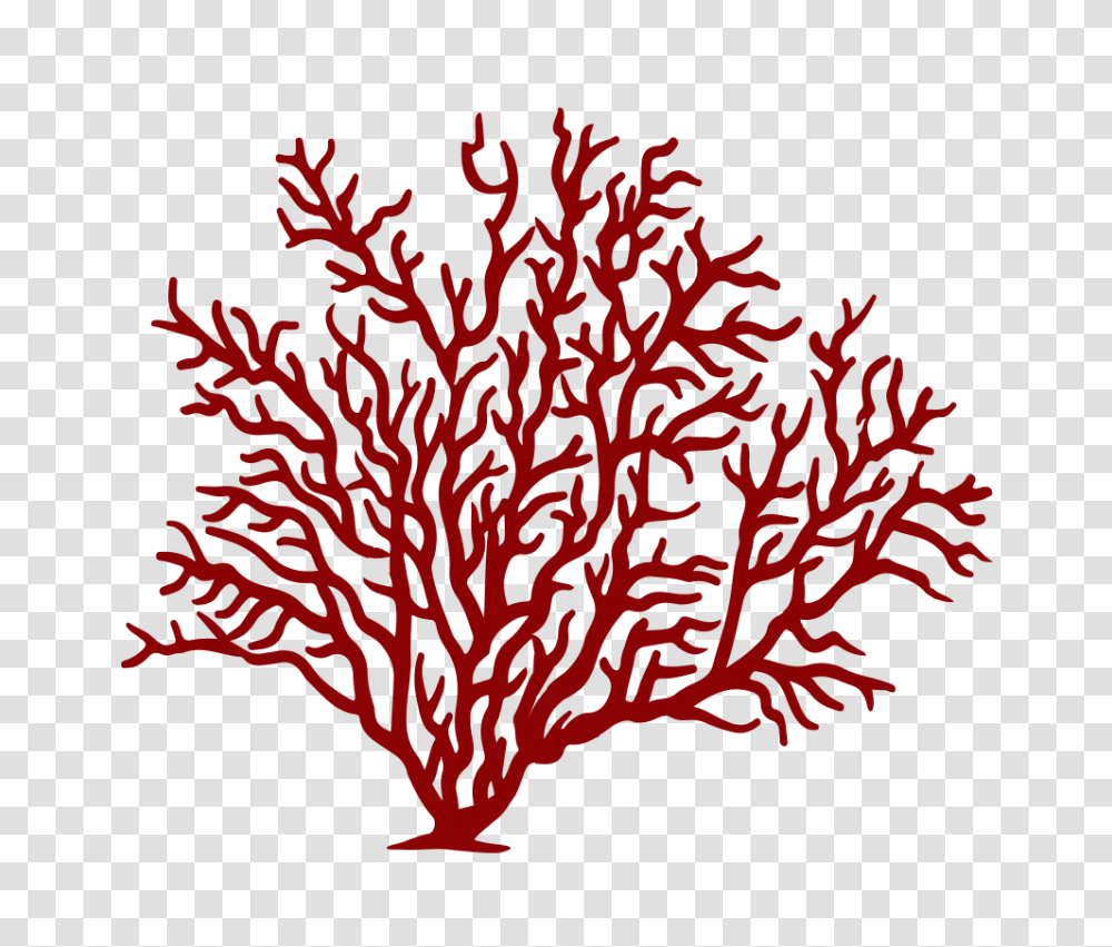 Coral Reef Fish Sea Red Freetoedit, Nature, Outdoors, Water, Sea Life Transparent Png