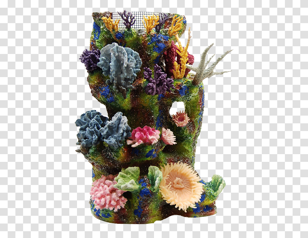 Coral Reef, Sea, Outdoors, Water, Nature Transparent Png