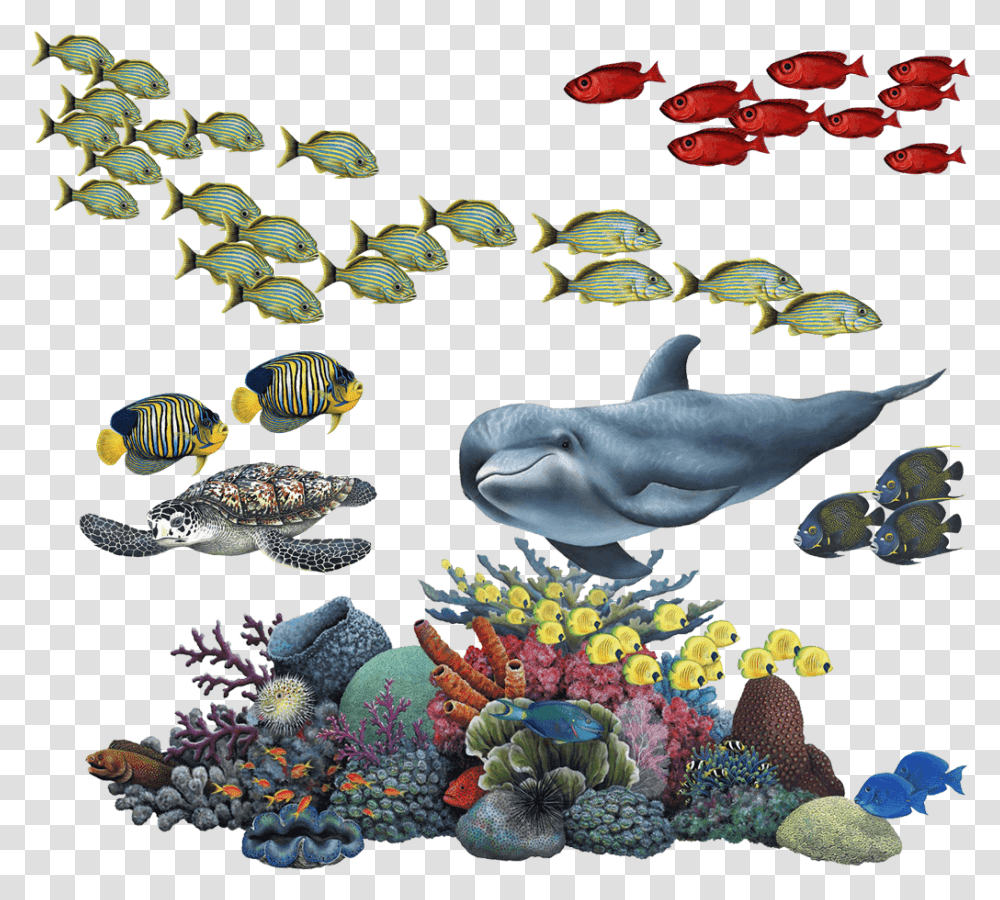 Coral Reef Tropical Fish Mural Wall Decal Sticker Combo Coral Reef Background, Aquatic, Water, Sea Life, Animal Transparent Png