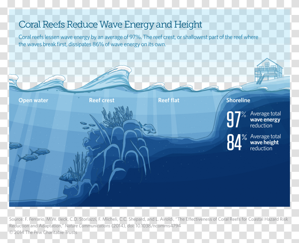 Coral Reefs Reduce Wave Energy And Height Coral Reef Sea Level, Outdoors, Nature, Vehicle, Transportation Transparent Png