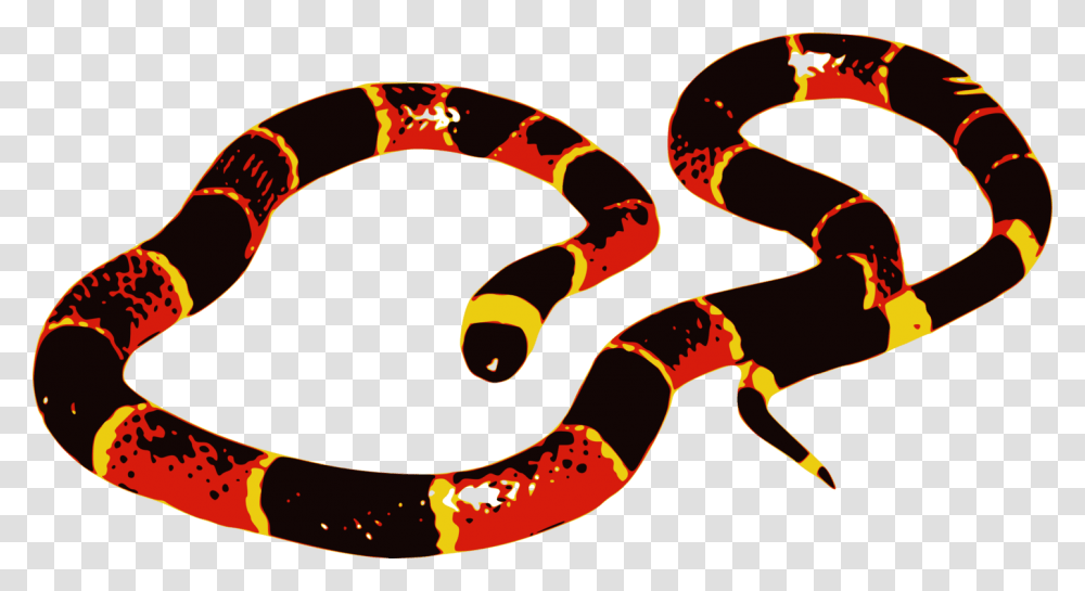Coral Snake Clip Art, Animal, Reptile, King Snake, Sea Snake Transparent Png