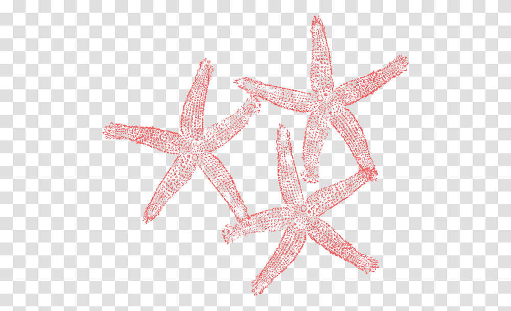 Coral Starfish Clipart, Invertebrate, Sea Life, Animal, Star Symbol Transparent Png