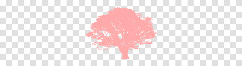 Coral Tree Clip Art, Bird, Animal, Bison, Mammal Transparent Png