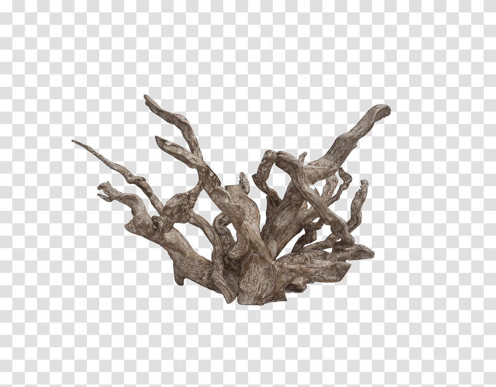 Coral, Wood, Driftwood Transparent Png