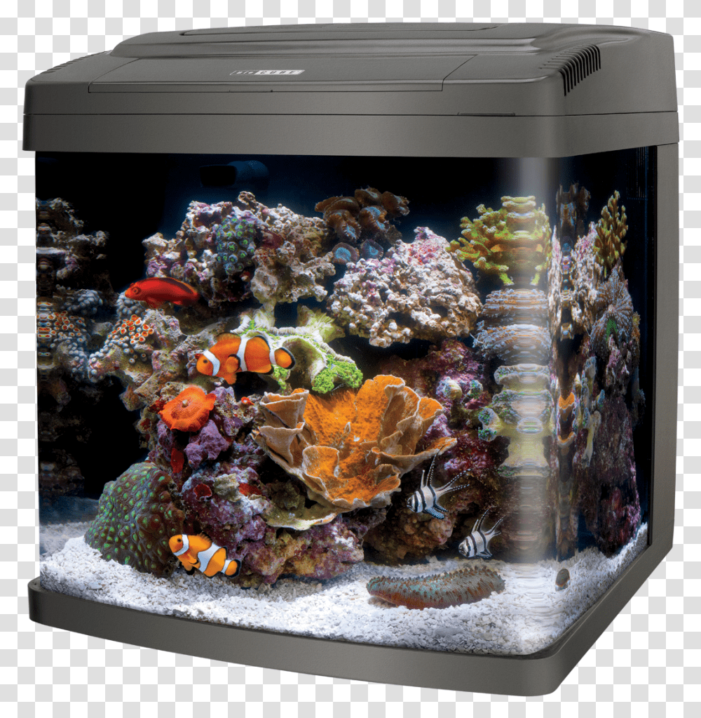 Coralife Biocube 29Class Lazyload Lazyload Mirage, Water, Aquatic, Sea, Outdoors Transparent Png