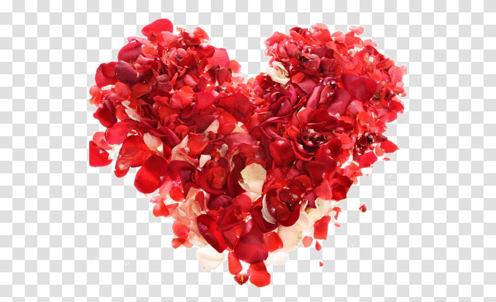 Corazn De Rosas Clipart February Heart, Plant, Flower, Blossom, Geranium Transparent Png