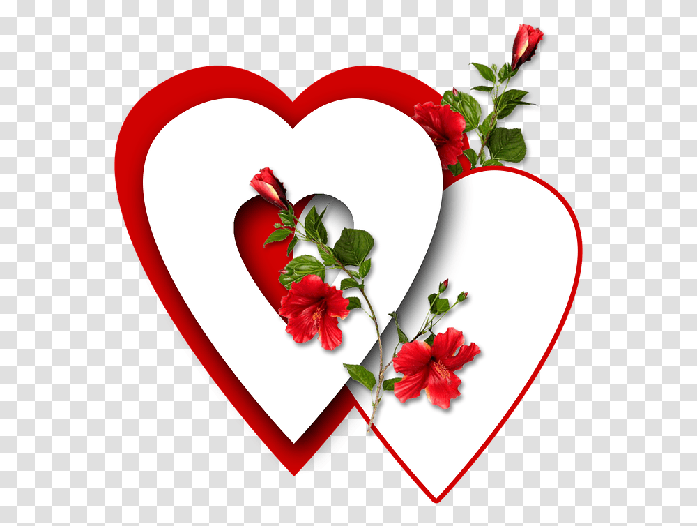 Corazn Rojo Heart, Plant, Flower, Blossom, Petal Transparent Png