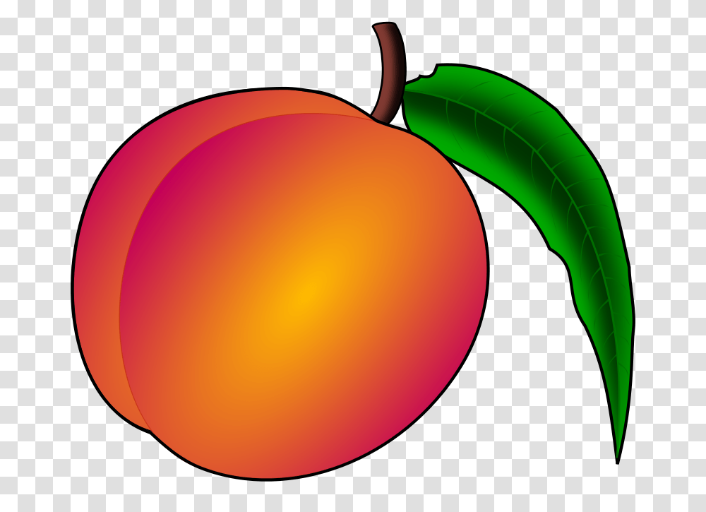 Coredump Peach, Nature, Plant, Apricot, Fruit Transparent Png