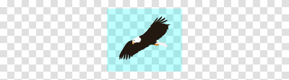 Coreldraw Eagles Clipart, Vulture, Bird, Animal, Condor Transparent Png