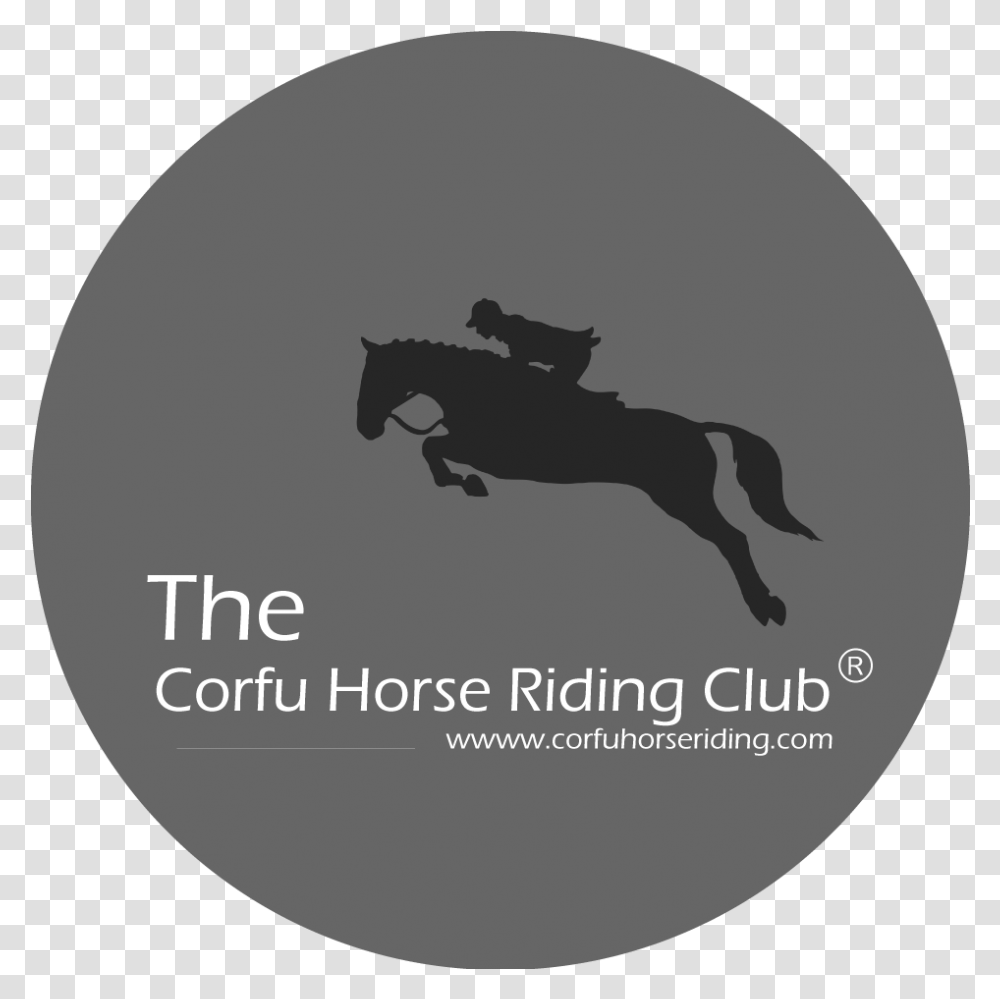 Corfu Horse Riding Horse Jumping Clipart Gif, Sport, Mammal, Animal, Photography Transparent Png