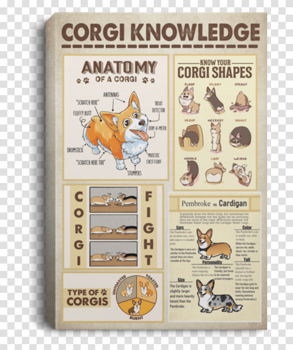 Corgi Knowledge Poster, Label, Advertisement, Paper Transparent Png