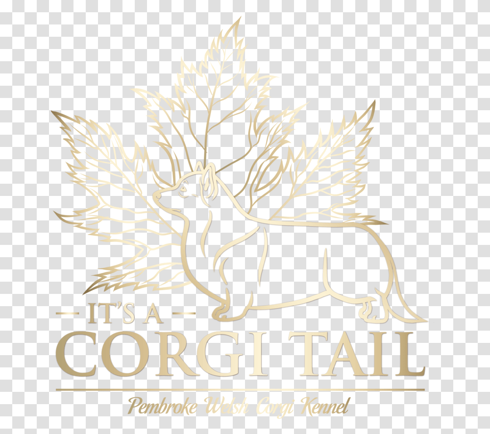 Corgitails Corgi, Text, Label, Poster, Advertisement Transparent Png