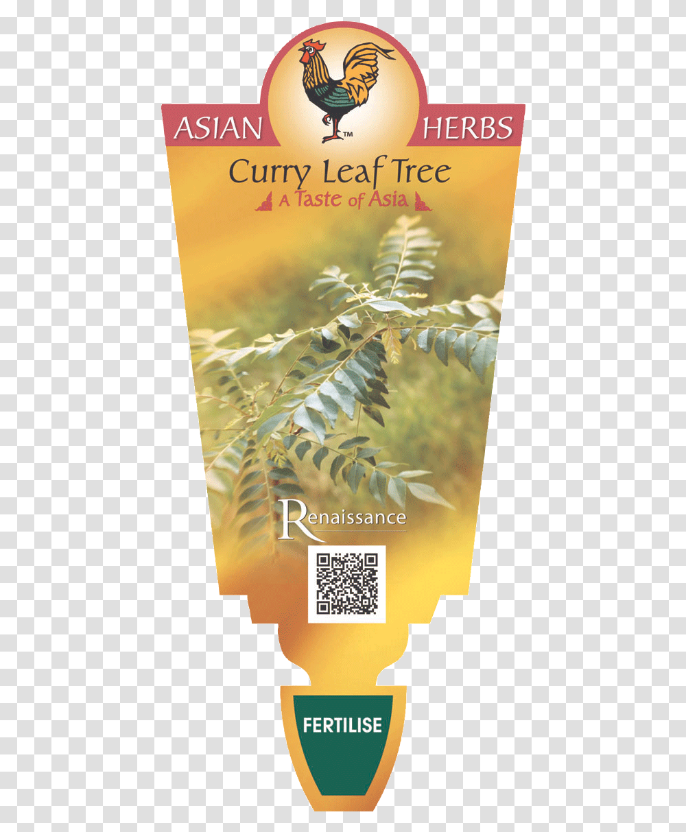 Coriander Perennial, Poster, Advertisement, QR Code, Bird Transparent Png