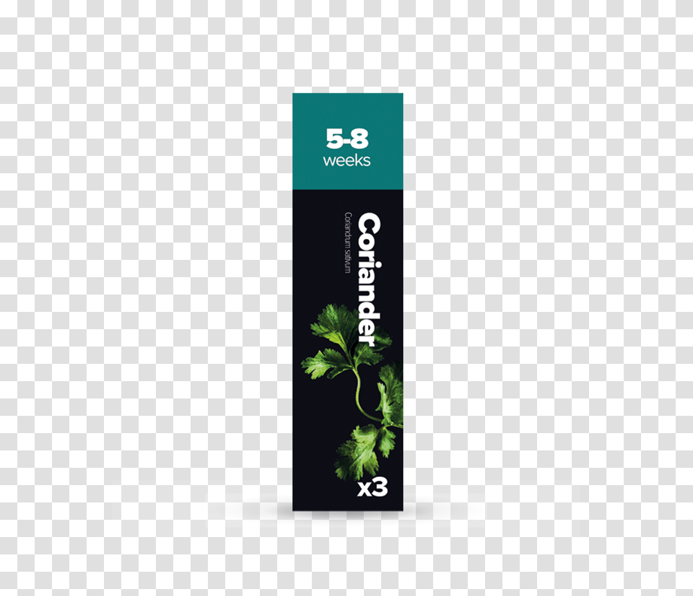 Coriander Plantui, Incense, Label, Toothpaste Transparent Png