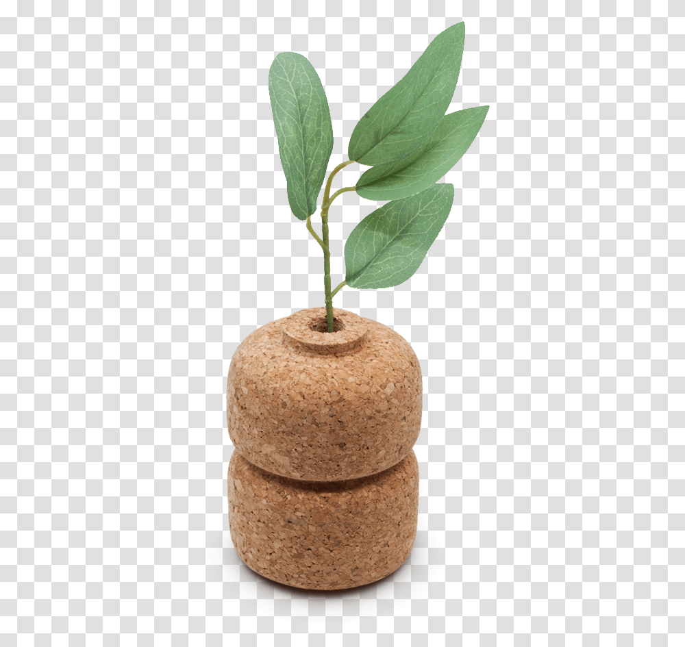 Cork Bud Double Vase Compendiumstore Com Au Object, Plant, Tree, Leaf, Pineapple Transparent Png