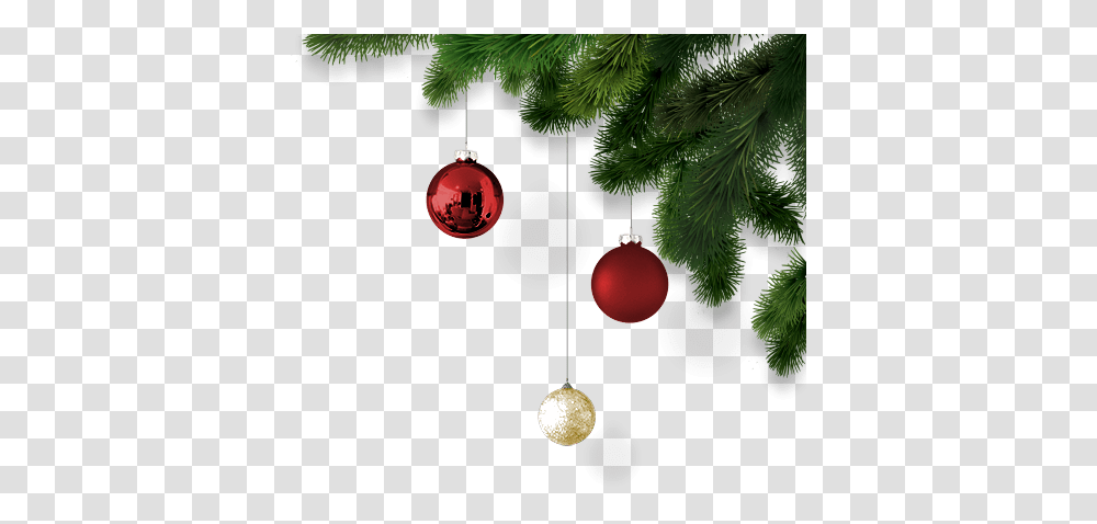 Cork Christmas Trees Real Ireland Decoration Christmas, Ornament, Plant, Fir, Abies Transparent Png