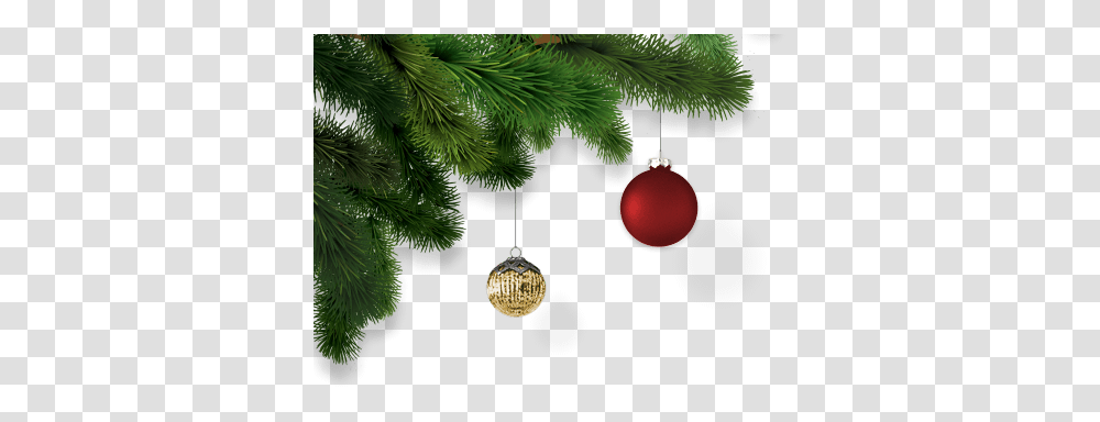 Cork Christmas Trees Real Ireland Real Christmas Ornaments, Plant, Conifer, Lighting, Fir Transparent Png