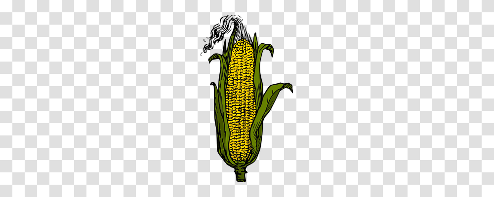 Corn Food, Plant, Vegetable Transparent Png