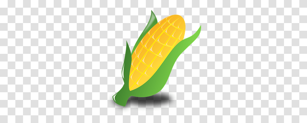 Corn Nature, Plant, Vegetable, Food Transparent Png