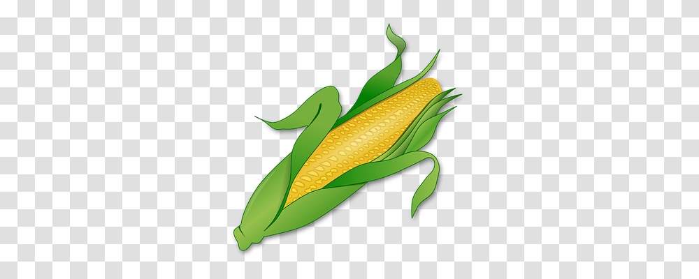 Corn Nature, Plant, Vegetable, Food Transparent Png